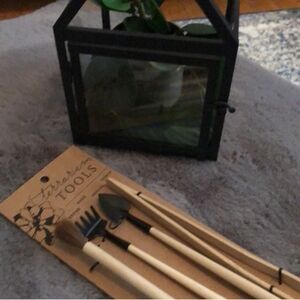 🆕 Terrarium Tools | Home Garden 🪴